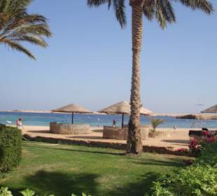 Live dabei und einfach nur den Tag geniessen...