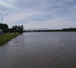 Murray River in Murray Bridge