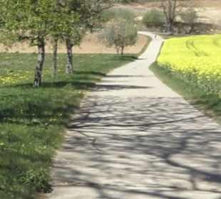 Hochgehsiedelt am Heidengraben