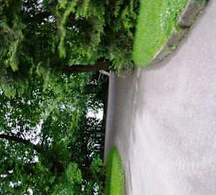 Weg Richtung Bodensee hier geht es zum Wasserberei