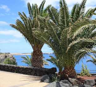 Auf dem Weg zum Marina Rubicon