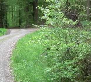 Naturpark Schönbuch