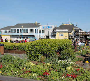 Pier 39