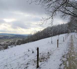 Der Wanderweg auf den Veitsberg
