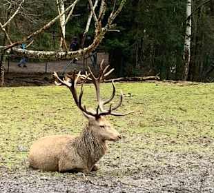 Bayerwald-Tierpark Lohberg