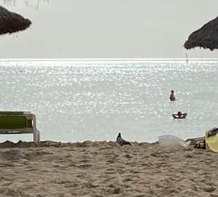 Strand Playa/Platja de Palma