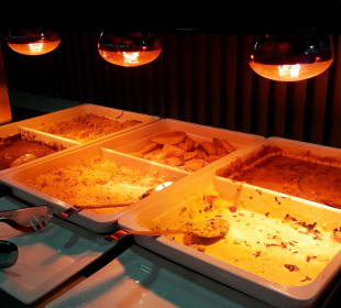 Marhaba Lounge (ZNZ)