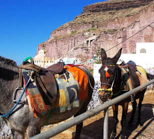 11.Tag Santorin Eselstation