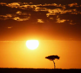 Sonnenaufgang Masei Mara