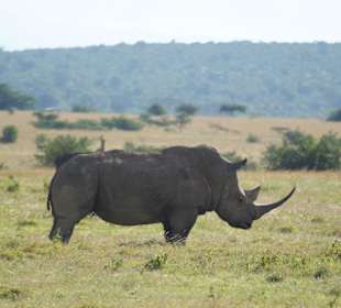 Solio - Schutzgebiet einer von knapp 500