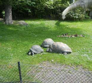 Tierpark Hagenbeck