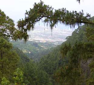 Blick ins Tal