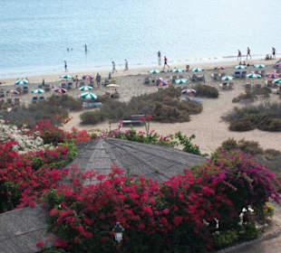Der wunderschöne Strand.