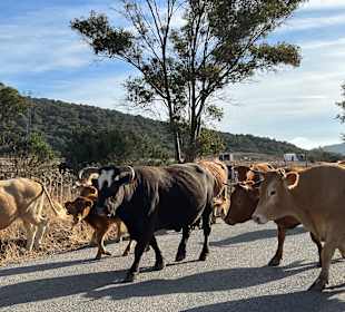 Wandern Novo Sancti Petri