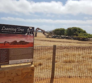 Kalbarri Nationalpark