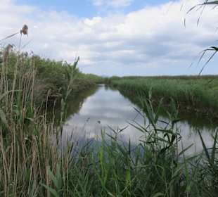 Parc natural de s’Albufera