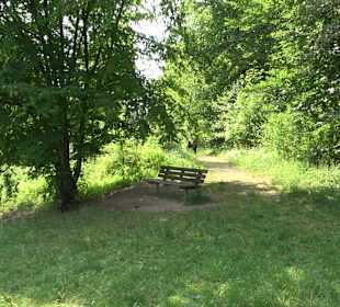 Rundwanderung Klingenbachtal - Sulzbachsee
