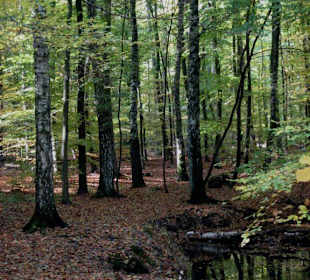 Hirschgarten