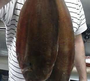 Pescado fresco del dia...de la lonja!