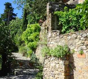 Impressionen aus Castelnou