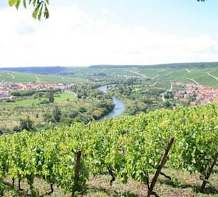 Escherndorf an der Mainschleife