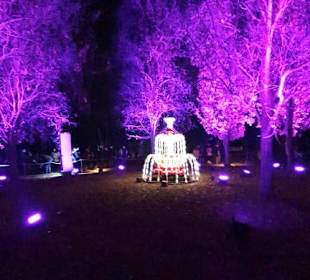 Christmas Garden Stuttgart 