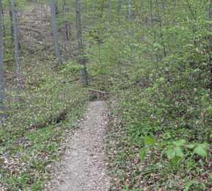 Wanderweg Firstwaldrunde