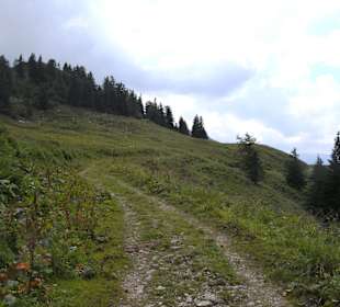 Rossfeld Panorama Straße