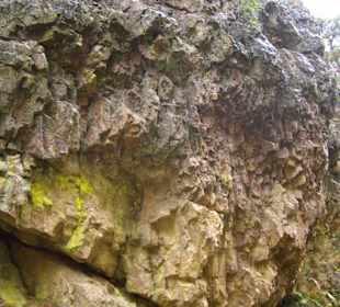 Naturschutzgebiet Großer Pfahl