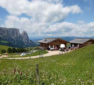 Sattler Schwaige mit Schlern im Hintergrund 