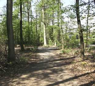 Wanderweg Hochgehwachsen