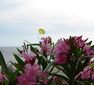 Vom Sunrise Richtung Kumköy-Evrenseki am Strand