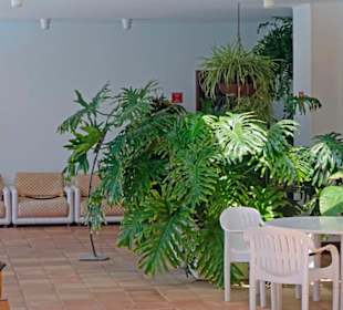 Freisitz unter Arkade