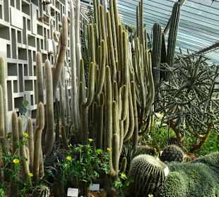 Die Tropengewächshäuser in "Planten un Blomen"