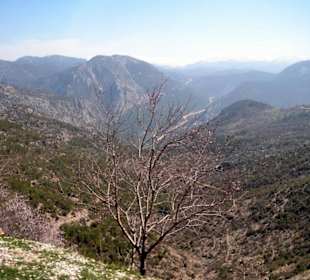 Dort kennt sich am besten der Fahrer Mustafa aus