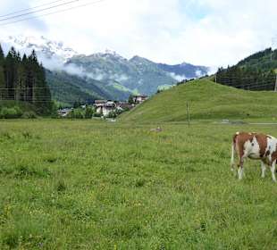 Wanderung Richtung Lackenalm