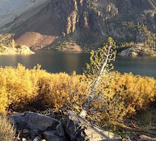 Park Narodowy Yosemite