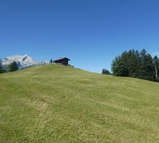 Eindrücke von unserer Wanderung am Eckbauer