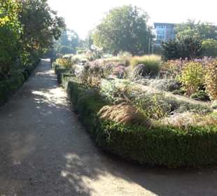 Botanischer Garten
