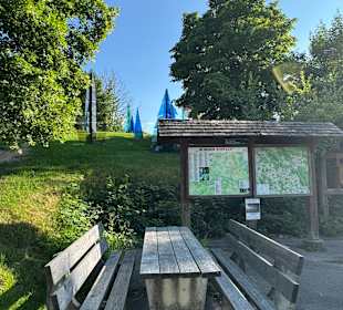Gläserner Wald