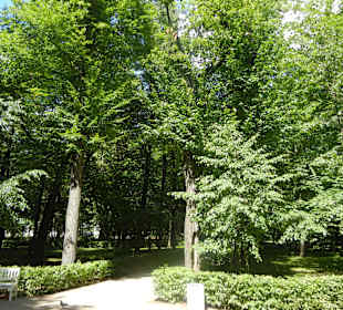 Lazienki Park