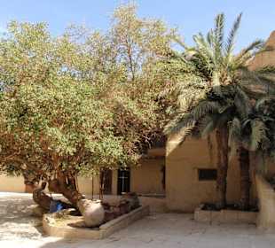 Garten im St. Paulus Kloster