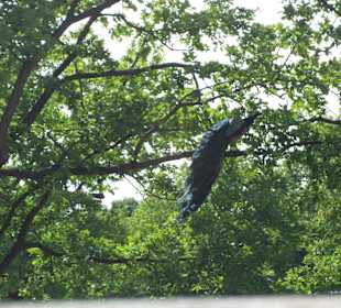 Park der Bäder Pfau
