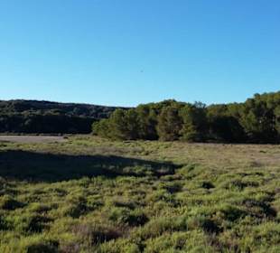 S´Albufera des Grau