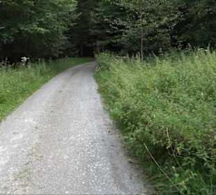 Sonnenaufgangs-Rundwanderung Rübgarten