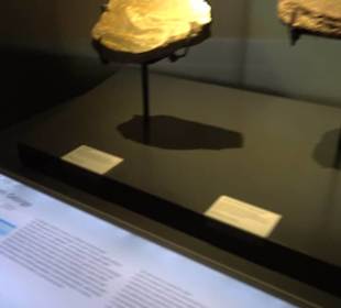 Museum der Naturkunde