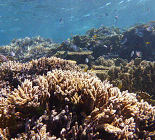 Immer wieder schön.