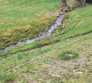 Wandern Enzklösterle