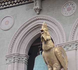 Hahn am Dom von MEssina