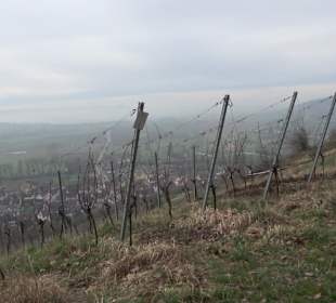 Unterjesinger Wengertwegle